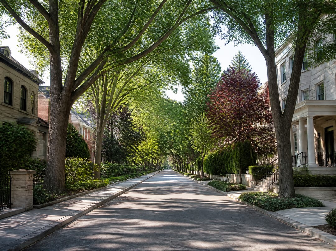 Rue arborée d'un quartier résidentiel